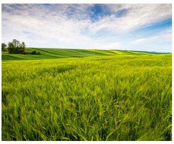 Además, pertenece a la Clase 6 NOx, con emisiones contaminantes un 80% inferiores a las normas exigidas, y es compatible con instalaciones solares térmicas, lo que la hace aún más eficiente y ecológica.